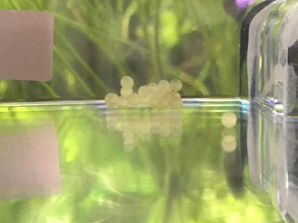 2017-12-08 16.19.54.jpg