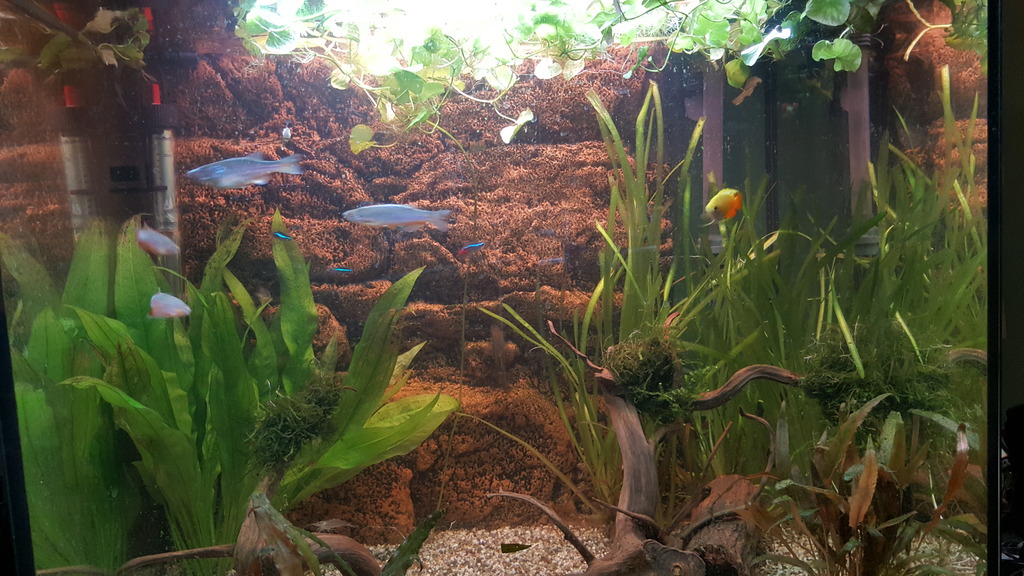 20170105_173207.jpg