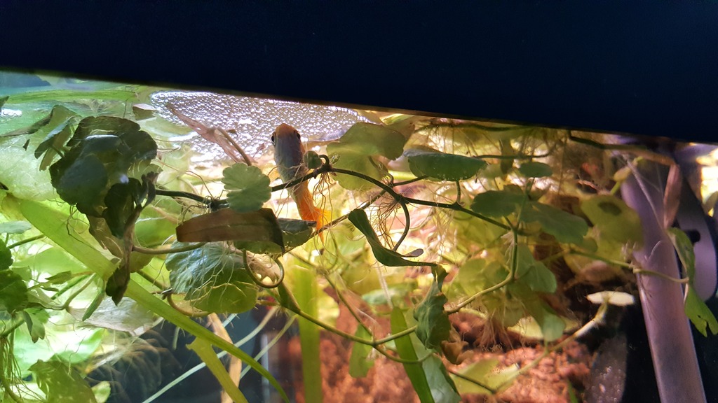 20170113_101859.jpg