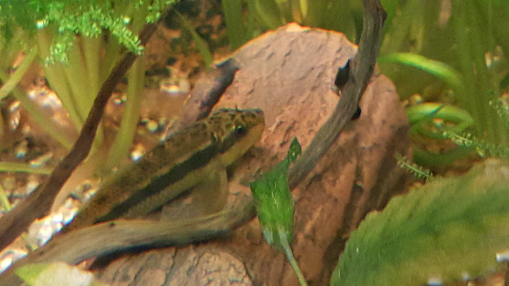20170204_205529.jpg