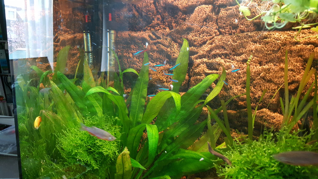 20170304_152044.jpg