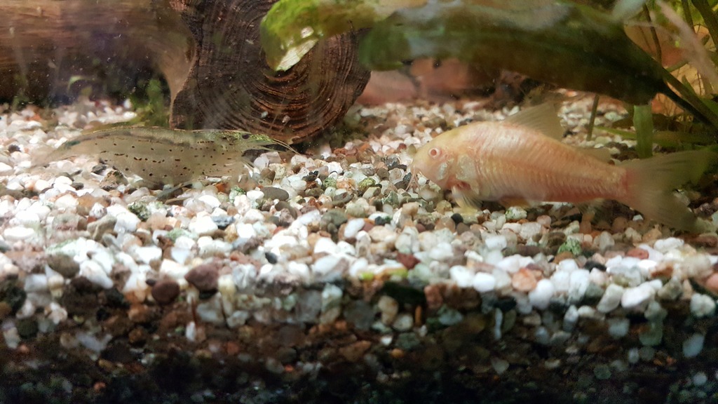 20170425_180407.jpg