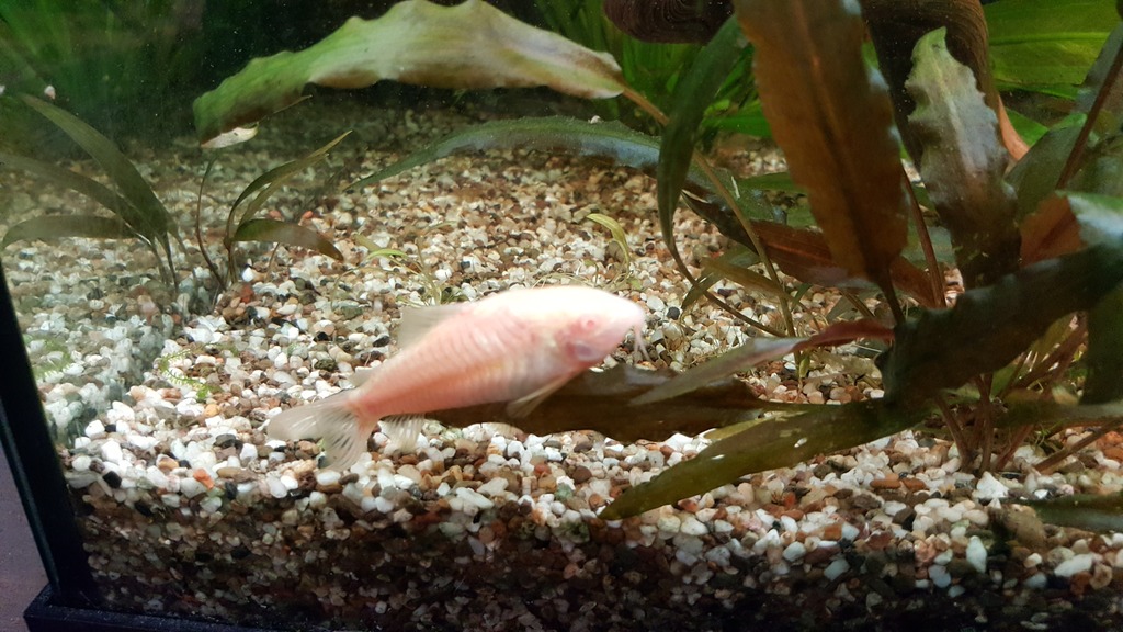 20170425_180534.jpg