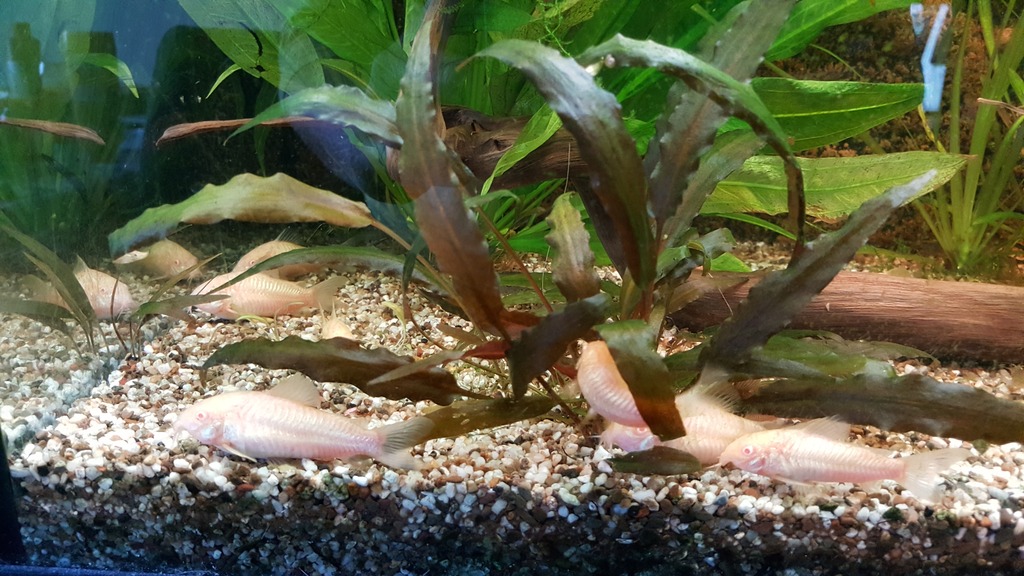 20170425_193356.jpg