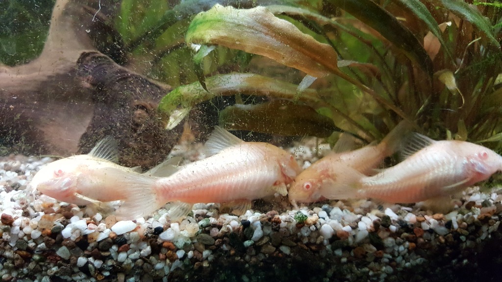 20170429_230645.jpg