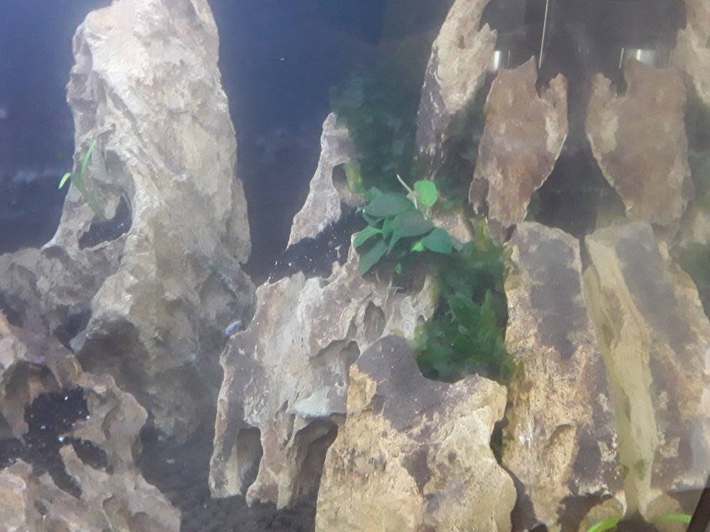 20170526_101836.jpg