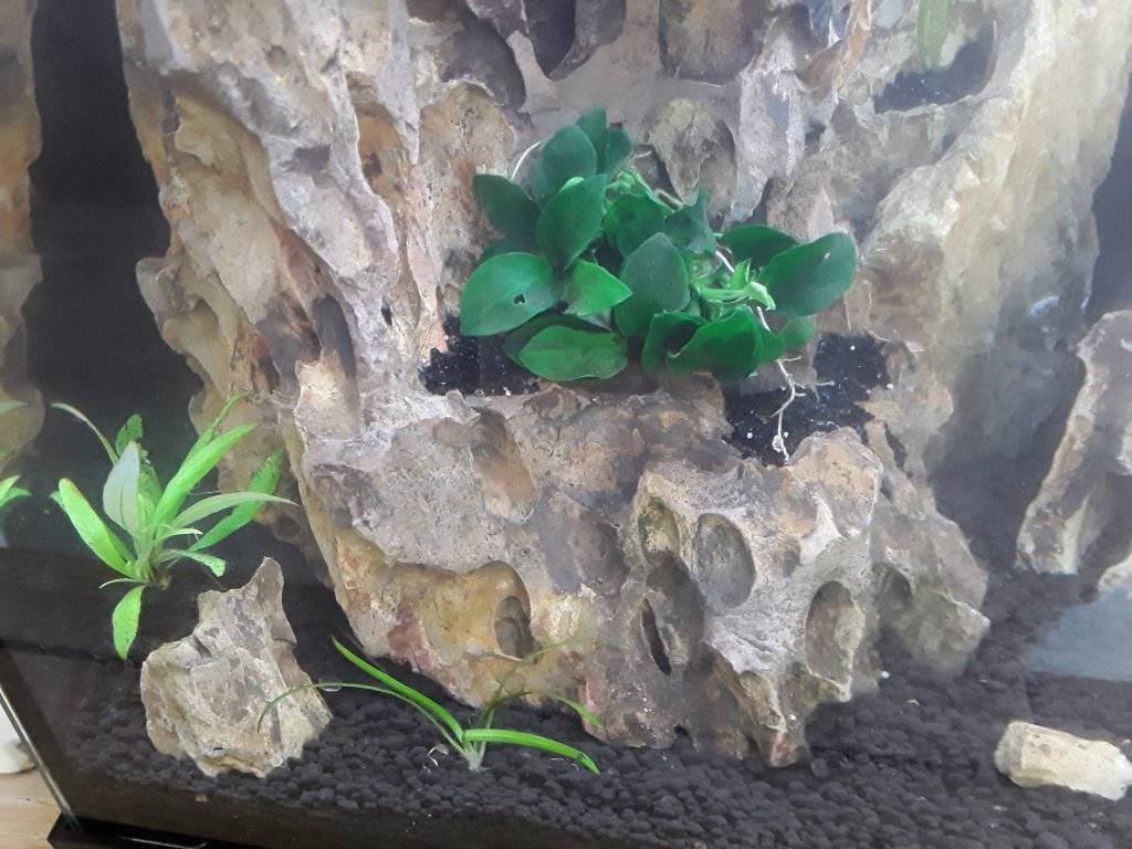 20170526_101847.jpg