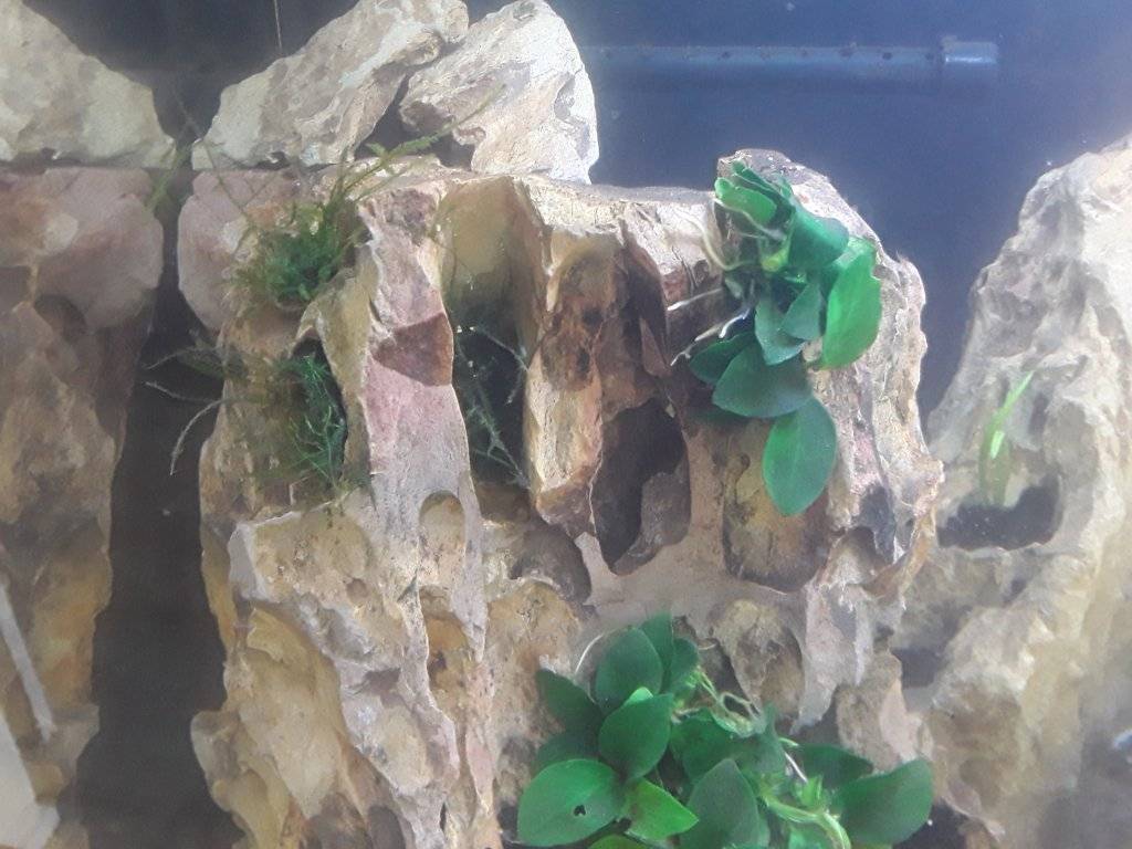 20170526_101850.jpg