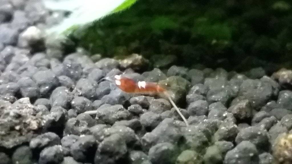 20170528_171601.jpg