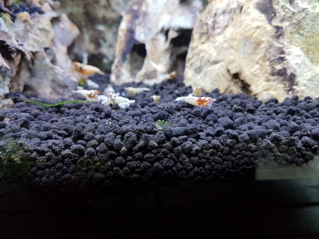 20170617_092948.jpg