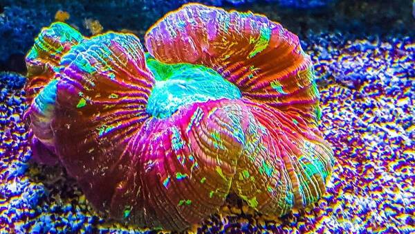 20170617_205419-2.jpg