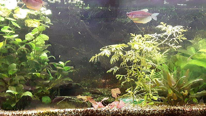 20170626_151039 - k.jpg