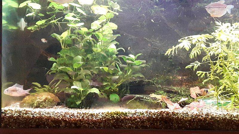 20170626_151056 - k.jpg