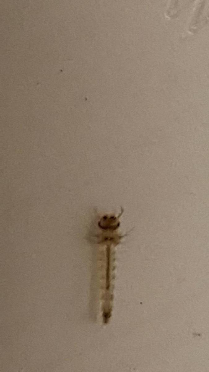20170724_223453.jpg