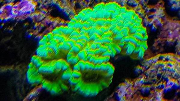 20170729_185456-2.jpg