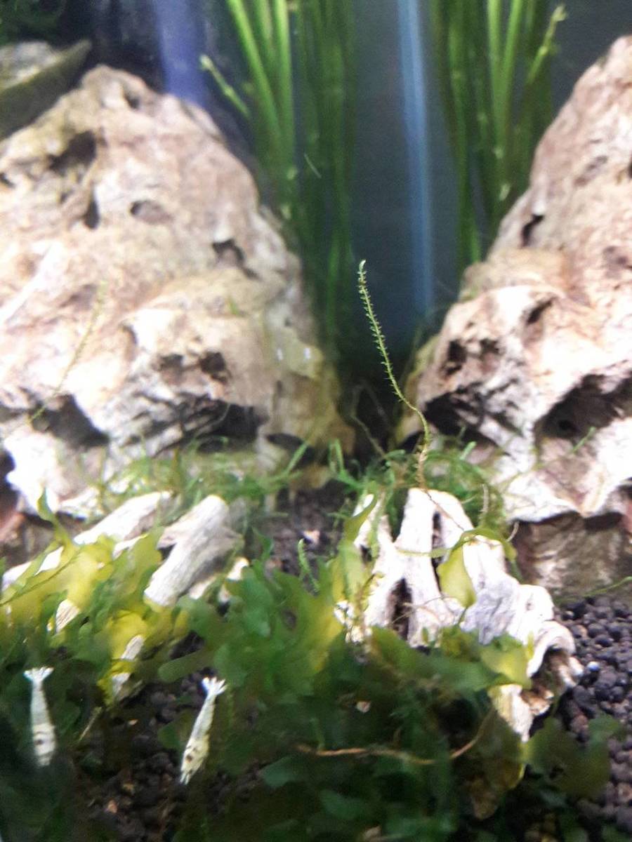 20170824_203034.jpg