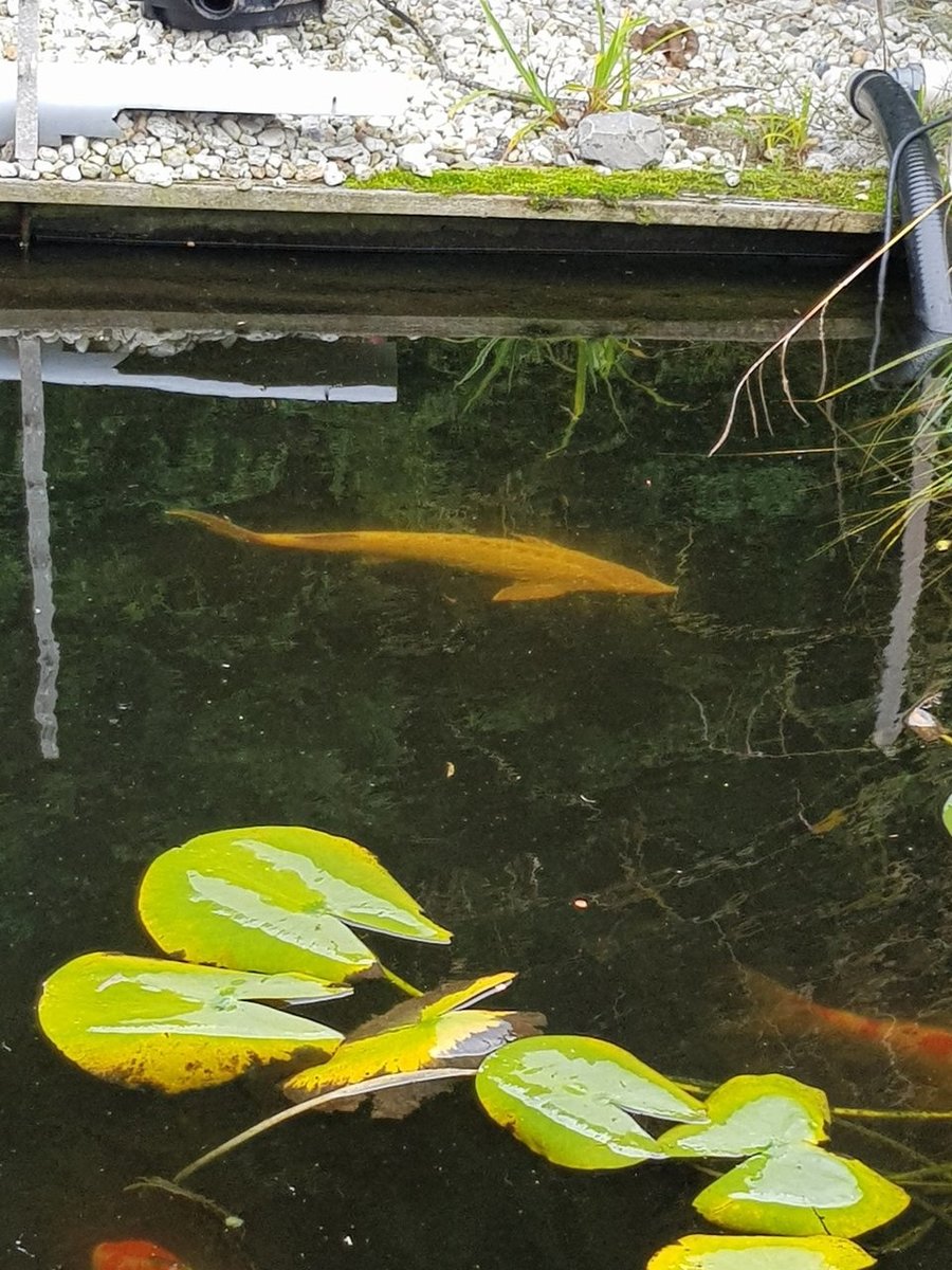 20170910_182142.jpg