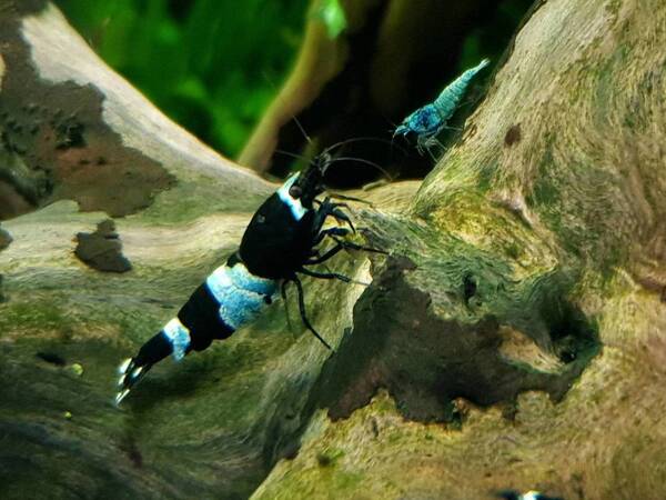 20170914_211354.jpg