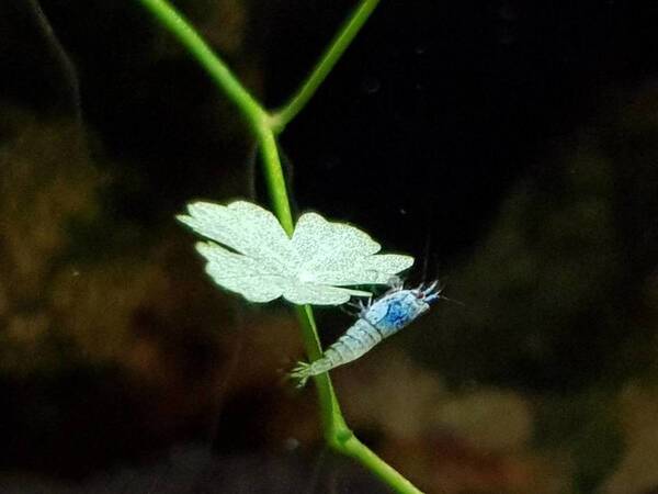 20171003_193325.jpg