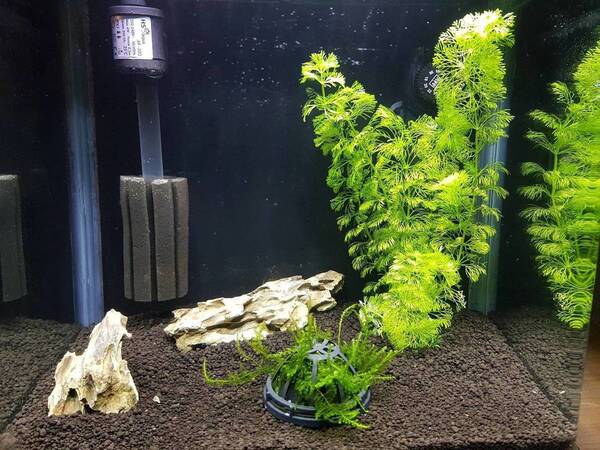 20171005_215316.jpg