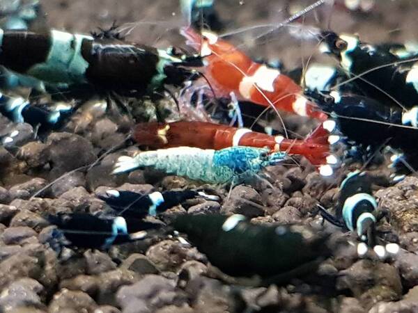 20171019_183033.jpg