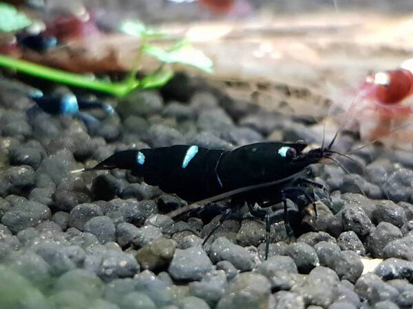 20171019_220313.jpg