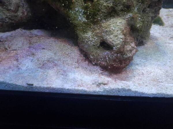 20171101_182820.jpg