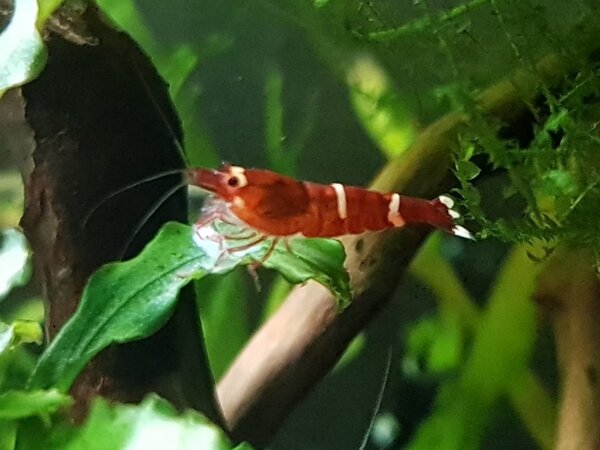 20171106_210435.jpg