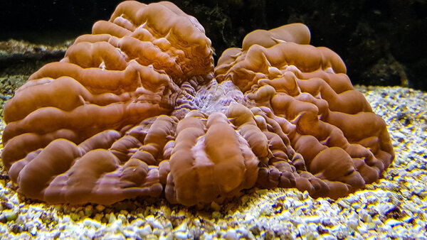 20171107_182759-2.jpg