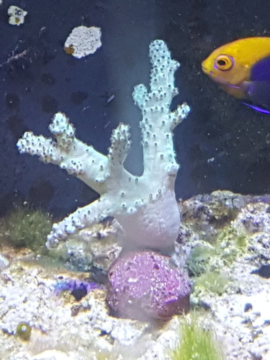 20171110_144322.jpg