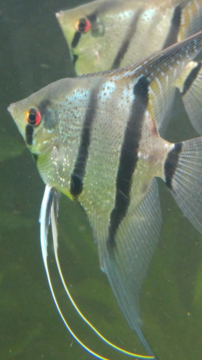 20171112_121158_HDR.jpg