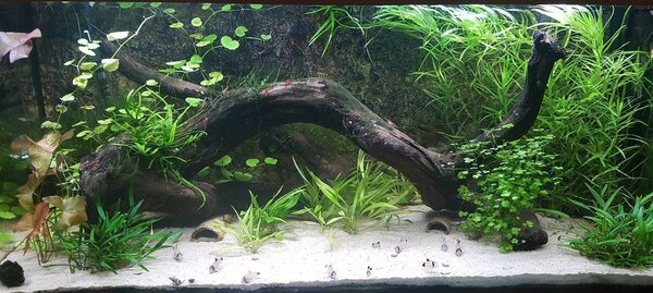 20171113_203807.jpg