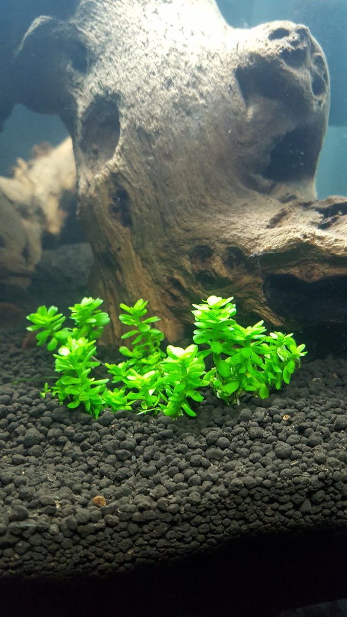 20171115_172335.jpg