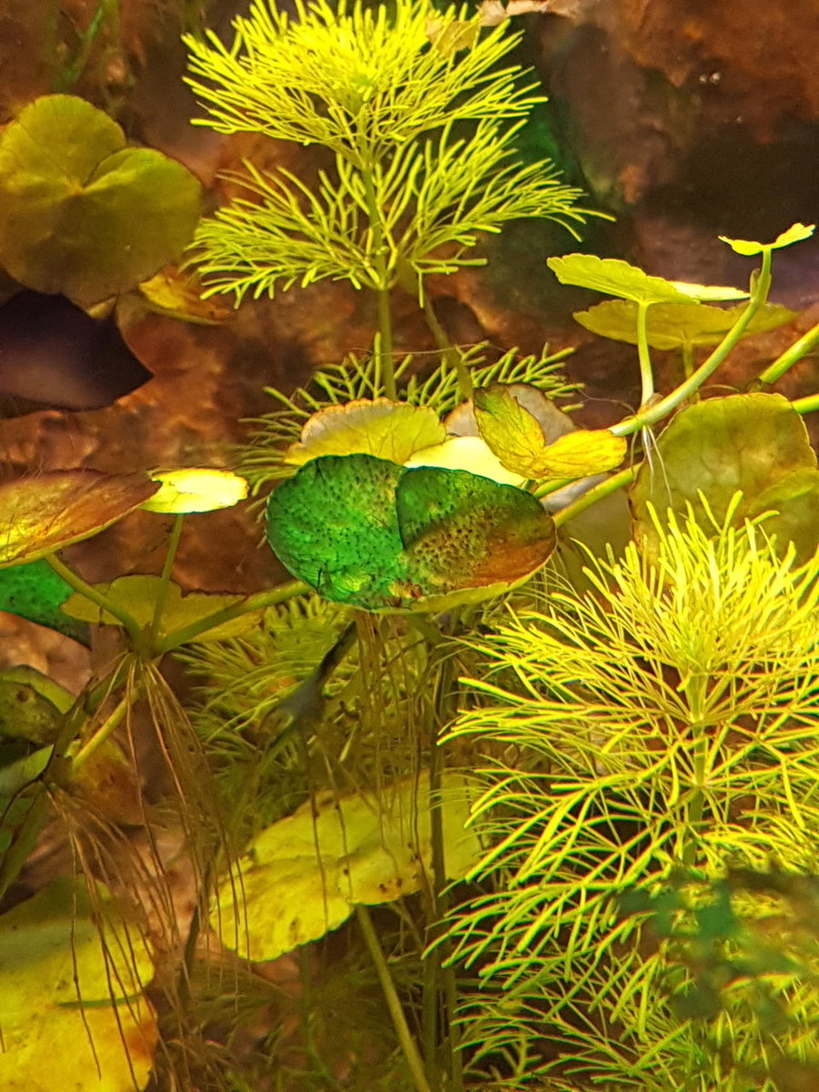 20171116_190656.jpg