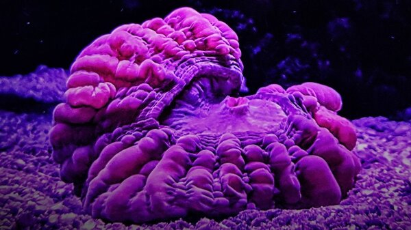 20171117_203231-2.jpg