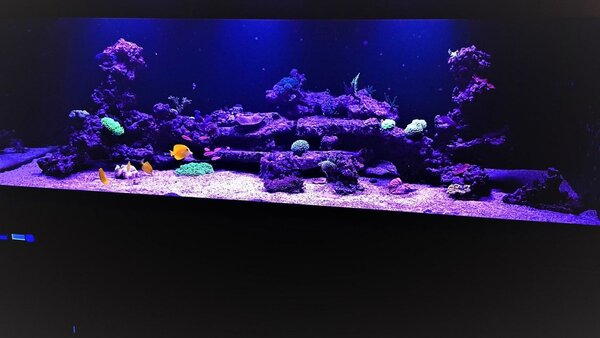 20171117_203354-2.jpg