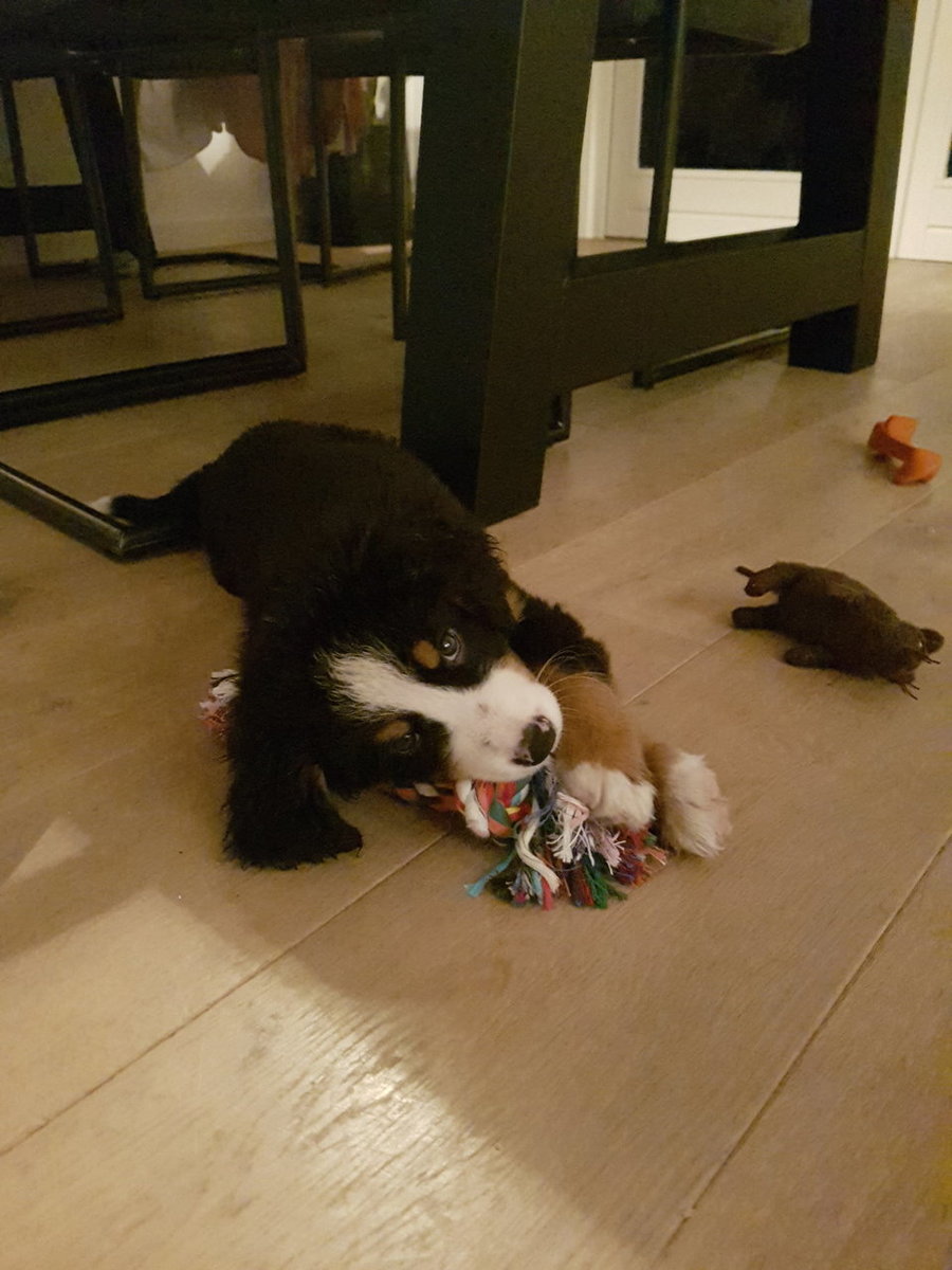 20171120_184618.jpg