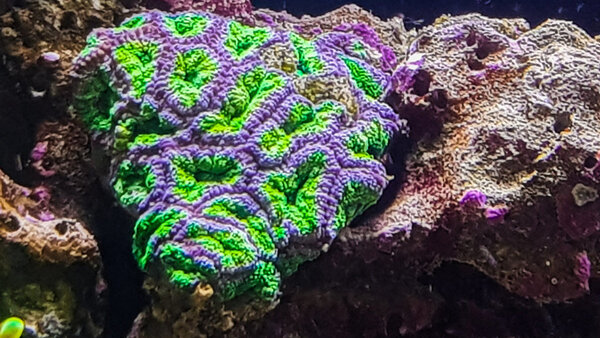 20171125_132700-2.jpg