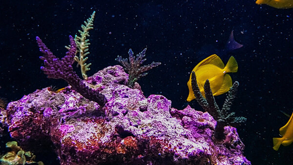 20171129_193830-2.jpg