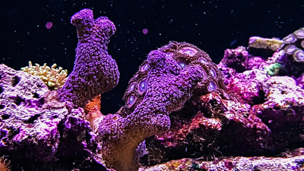 20171129_193936-2.jpg