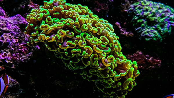 20171129_194242-2.jpg