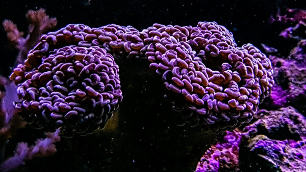 20171129_194321-2.jpg