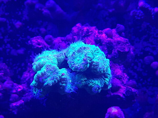 20171201_230645.jpg