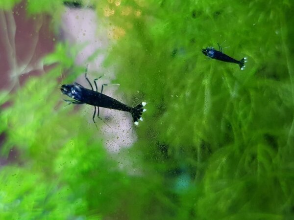 20171216_140251.jpg