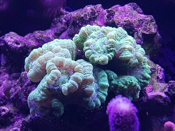 20171227_222055.jpg