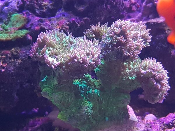 20171227_222119.jpg