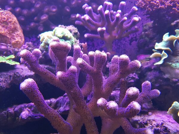 20171227_222141.jpg