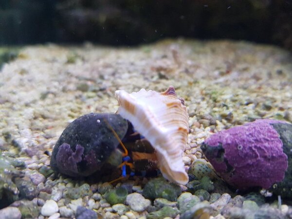 20171230_215104.jpg