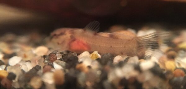 2018-01-07 19.15.01.jpg