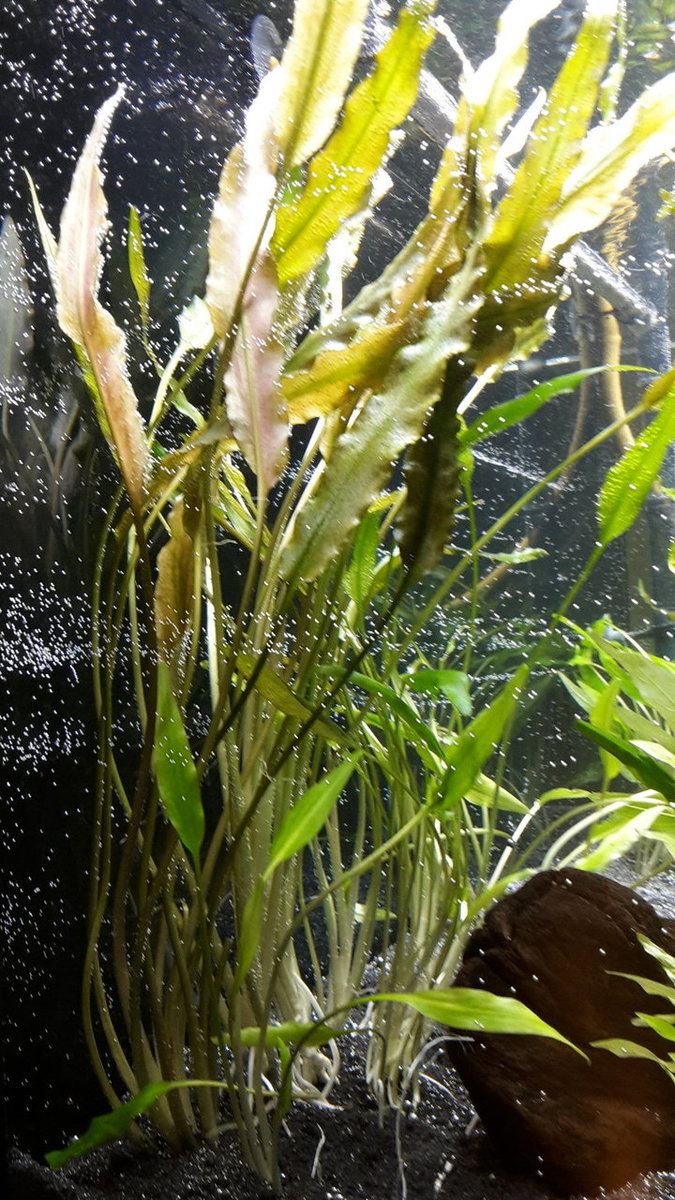 2018-01-17 17.41.11.jpg